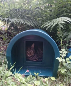 Mr Snugs KatDen Outdoor Cat Kennel/Shelter - Dark Green (Various Options) -Cat Courtyard 1231022046green katden 2