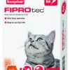 Beaphar Fiprotec Spot On Cat Flea & Tick Treatment (6 X Treatments) -Cat Courtyard 156792018
