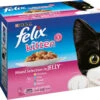 Felix Pouch Kitten Fish & Meat Selection In Jelly -Cat Courtyard 24646