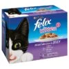 Felix Kitten Pouches Mixed Selection In Jelly -Cat Courtyard 24647