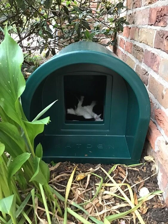 Katden Outdoor Cat Kennel - Dark Green EX DISPLAY 8 Katden Outdoor Cat Kennel - Dark Green EX DISPLAY - Image 6