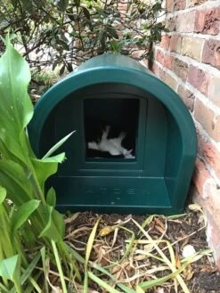 Mr Snugs Katden Outdoor Cat Kennel - Dark Green -Cat Courtyard 29CCBEE4 E6E5 4D6C 9B5D 9D74E7A68C63