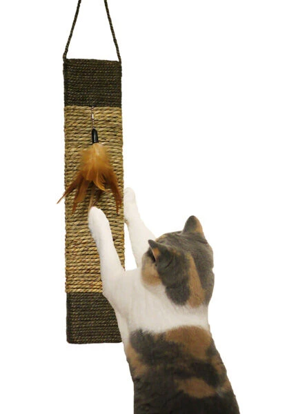 Rosewood Jolly Moggy Scratch & Play Catnip Mat 3 Rosewood Jolly Moggy Scratch & Play Catnip Mat