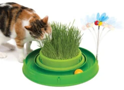 Catit Play Circuit Ball Toy With Grass Green -Cat Courtyard 43002 circuit ball toy cat grass heroshot