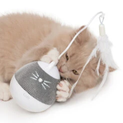 Catit Pixi Spinner Electronic Cat Toy White & Grey -Cat Courtyard 43145 catit pixi spinner kitten grab silver