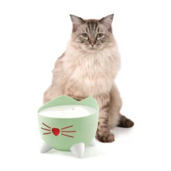 Catit Pixi Cat Water Fountain Mint Green -Cat Courtyard 43718 catit pixi fountain green no water with cat 1