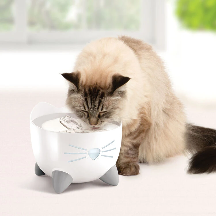 Catit Pixi Cat Water Fountain Stainless Steel 6 Catit Pixi Cat Water Fountain Stainless Steel - Image 4