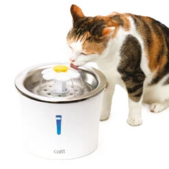Catit 2.0 Flower Cat Water Fountain Stainless Steel -Cat Courtyard 43725 stainless steel flower fountain heroshot