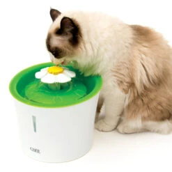 Catit 2.0 Flower Cat Water Fountain 3L -Cat Courtyard 43742 flower fountain heroshot