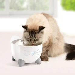 Catit Pixi Smart Fountain -Cat Courtyard 43751 catit pixi smart fountain lifestyle