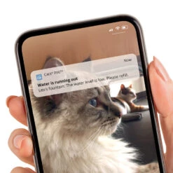 Catit Pixi Smart Fountain -Cat Courtyard 43751 catit pixi smart fountain notification