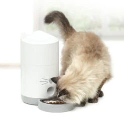 Catit Pixi Smart Feeder -Cat Courtyard 43752 catit pixi smart feeder lifestyle