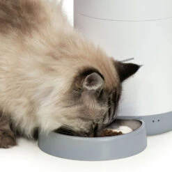 Catit Pixi Smart Feeder -Cat Courtyard 43752 catit pixi smart feeder wisker stress free bowl 1