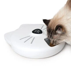 Catit Pixi Smart 6 Meal Cat Feeder -Cat Courtyard 43754 catit pixi smart 6 meal feeder cat eating
