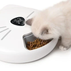 Catit Pixi Smart 6 Meal Cat Feeder -Cat Courtyard 43754 catit pixi smart 6 meal feeder kitten
