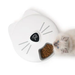 Catit Pixi Smart 6 Meal Cat Feeder -Cat Courtyard 43754 catit pixi smart 6 meal feeder kittens looking up