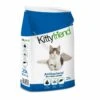Sanicat Antibacterial Non-Clumping Cat Litter -Cat Courtyard 551300