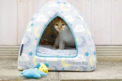 Petface Little Petface Cat Igloo 11 Petface Little Petface Cat Igloo -Cat Courtyard 60c080d4a6c961.43307262
