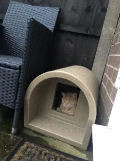 Mr Snugs KatDen Outdoor Cat Kennel/Shelter - Granite (Various Options) 22 Mr Snugs KatDen Outdoor Cat Kennel/Shelter - Granite (Various Options) -Cat Courtyard IMG 20191205 WA0002