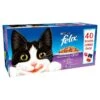 40 X 100g Felix Pouch Mixed Selection In Jelly -Cat Courtyard LGsWGmD