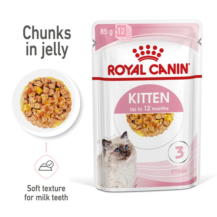 ROYAL CANIN® Kitten In Jelly Wet Food 6 ROYAL CANIN® Kitten In Jelly Wet Food - Image 4