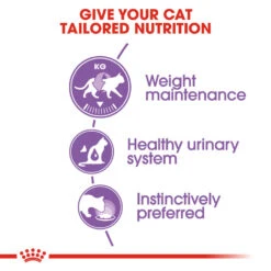 ROYAL CANIN® Sterilised In Jelly Adult Wet Cat Food -Cat Courtyard bdreuil2f4ua1u0jcgbu