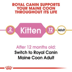 ROYAL CANIN® Maine Coon Kitten Dry Food 18 ROYAL CANIN® Maine Coon Kitten Dry Food -Cat Courtyard be41upqtuatclcldjyko