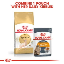 ROYAL CANIN® Sphynx Adult Dry Cat Food -Cat Courtyard bjr9uisrhhd8hr610nxf