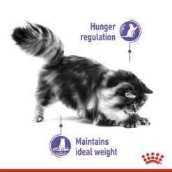 ROYAL CANIN® Appetite Control Care Adult Dry Cat Food -Cat Courtyard dh40i3mr7jfuqsjgny3e 1