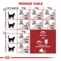 ROYAL CANIN® Regular Fit 32 Adult Dry Cat Food -Cat Courtyard dla3nxdqxp8rzbk30jkn