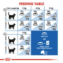 ROYAL CANIN® Indoor Appetite Control Adult Dry Cat Food -Cat Courtyard ejiyjlkx53d1rusmfdis