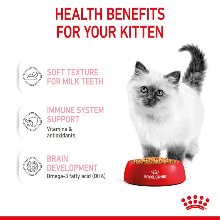 ROYAL CANIN® Kitten In Jelly Wet Food 8 ROYAL CANIN® Kitten In Jelly Wet Food - Image 6