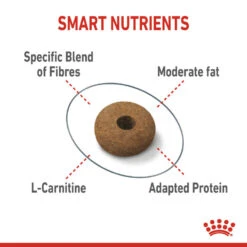 ROYAL CANIN® Appetite Control Care Adult Dry Cat Food -Cat Courtyard fffrqwjo7idhv880gr7c