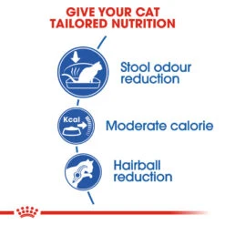 ROYAL CANIN® Indoor 27 Adult Dry Cat Food 18 ROYAL CANIN® Indoor 27 Adult Dry Cat Food -Cat Courtyard fmbftx2c8bbmonxpli9v