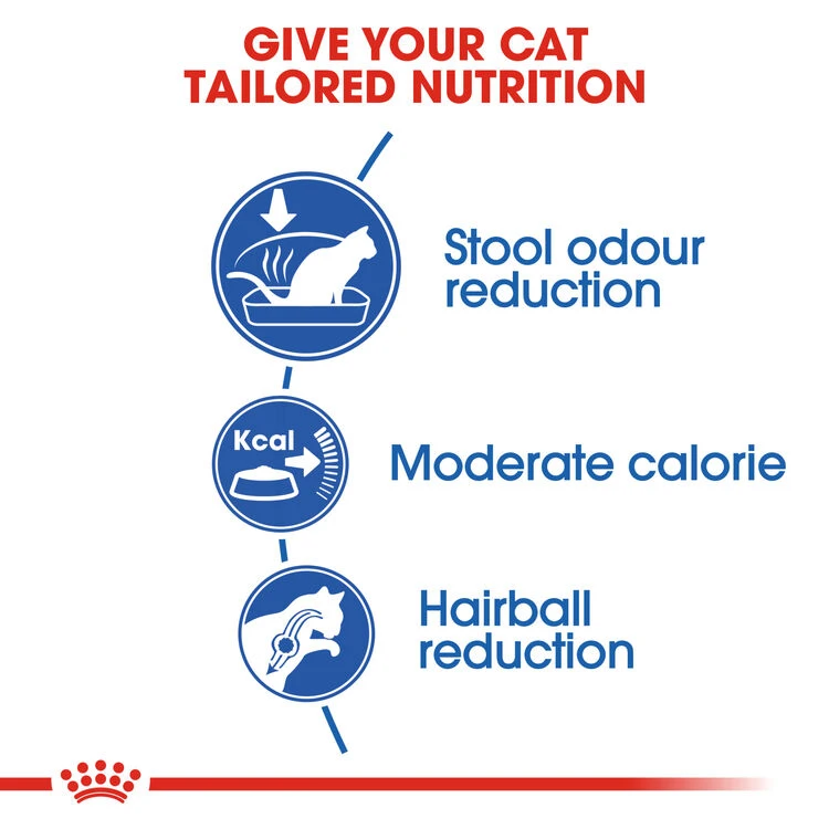 ROYAL CANIN® Indoor 27 Adult Dry Cat Food 10 ROYAL CANIN® Indoor 27 Adult Dry Cat Food - Image 8