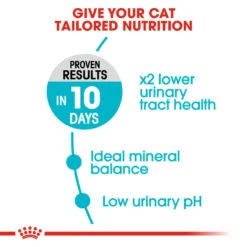 ROYAL CANIN® Urinary Care Adult Dry Cat Food -Cat Courtyard fszacpe0i3x7wsyhb4wv