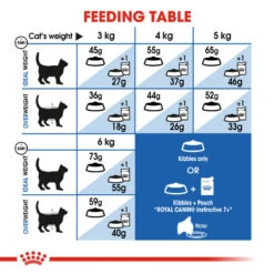 ROYAL CANIN® Indoor 7+ Senior Dry Cat Food 15 ROYAL CANIN® Indoor 7+ Senior Dry Cat Food -Cat Courtyard fwjtefoautf3suutfjve