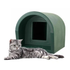 Cat Courtyard 9 Cat Courtyard -Cat Courtyard green katden 2 28129 3