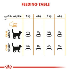 ROYAL CANIN® Hair & Skin Care Adult Dry Cat Food -Cat Courtyard gyhieadevf0ogdiswcjq