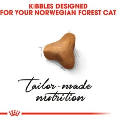 ROYAL CANIN® Norwegian Forest Adult Dry Cat Food -Cat Courtyard h4vwplbbguxvxbanxktv