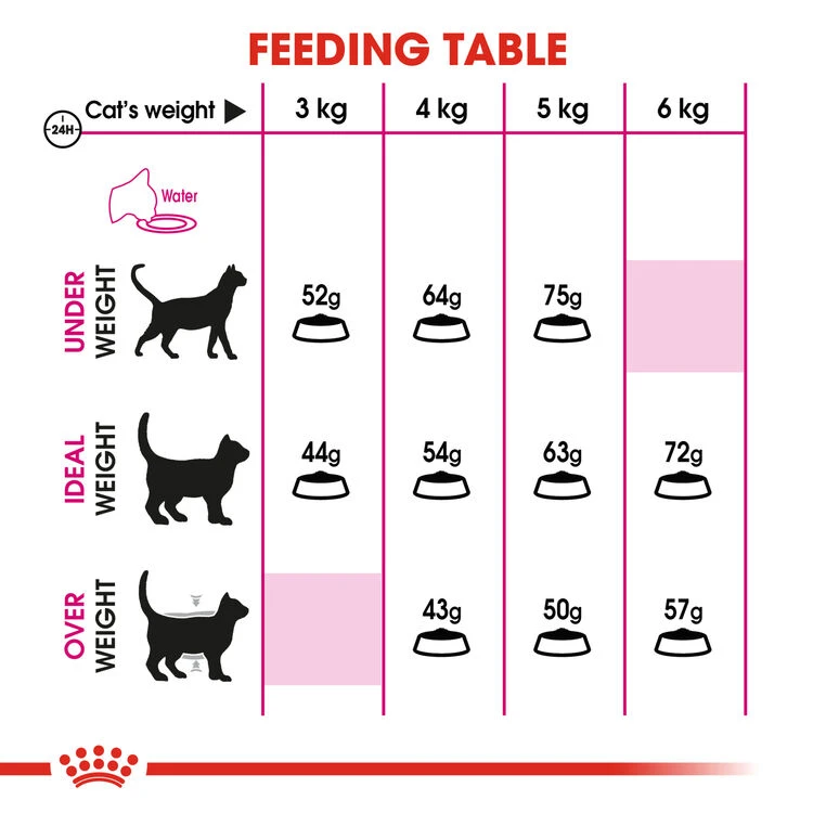 ROYAL CANIN® Aroma Exigent Adult Dry Cat Food 7 ROYAL CANIN® Aroma Exigent Adult Dry Cat Food - Image 5
