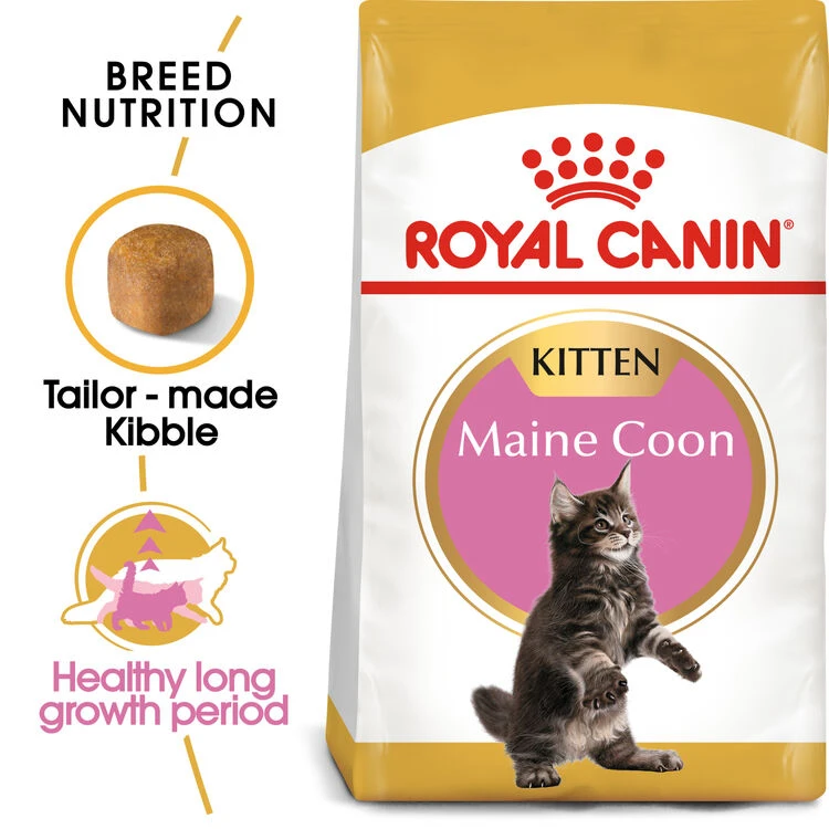 ROYAL CANIN® Maine Coon Kitten Dry Food 4 ROYAL CANIN® Maine Coon Kitten Dry Food - Image 2