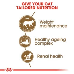 ROYAL CANIN® Ageing Sterilised 12+ Senior Dry Cat Food 18 ROYAL CANIN® Ageing Sterilised 12+ Senior Dry Cat Food -Cat Courtyard i44jnign12vy4fddz6mw