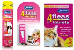 Johnson's 4Fleas Cat & Kitten (1 - 11kg) Flea Treatment Bundle