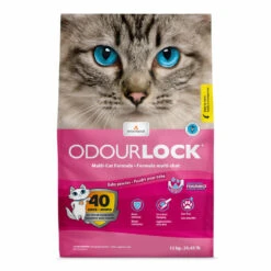 Intersand Odourlock Baby Powder Clumping Cat Litter -Cat Courtyard intersand ol babypowder12kg face