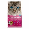 Intersand Odourlock Baby Powder Clumping Cat Litter -Cat Courtyard intersand ol babypowder6kg face