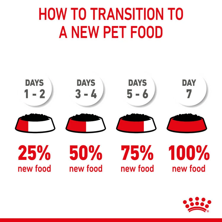 ROYAL CANIN® Kitten In Jelly Wet Food 13 ROYAL CANIN® Kitten In Jelly Wet Food - Image 11
