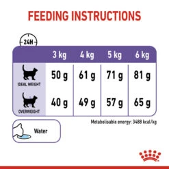 ROYAL CANIN® Appetite Control Care Adult Dry Cat Food -Cat Courtyard jzeqif4suqz2m2bjq5vy