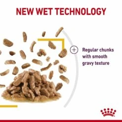 ROYAL CANIN® Sensory Taste In Gravy Adult Wet Cat Food -Cat Courtyard klp8ozww8nlyturkkewk