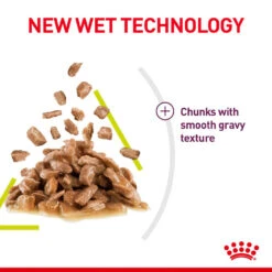 ROYAL CANIN® Sensory Smell In Gravy Adult Wet Cat Food -Cat Courtyard kpuovoj1c6cgpbkimfsz